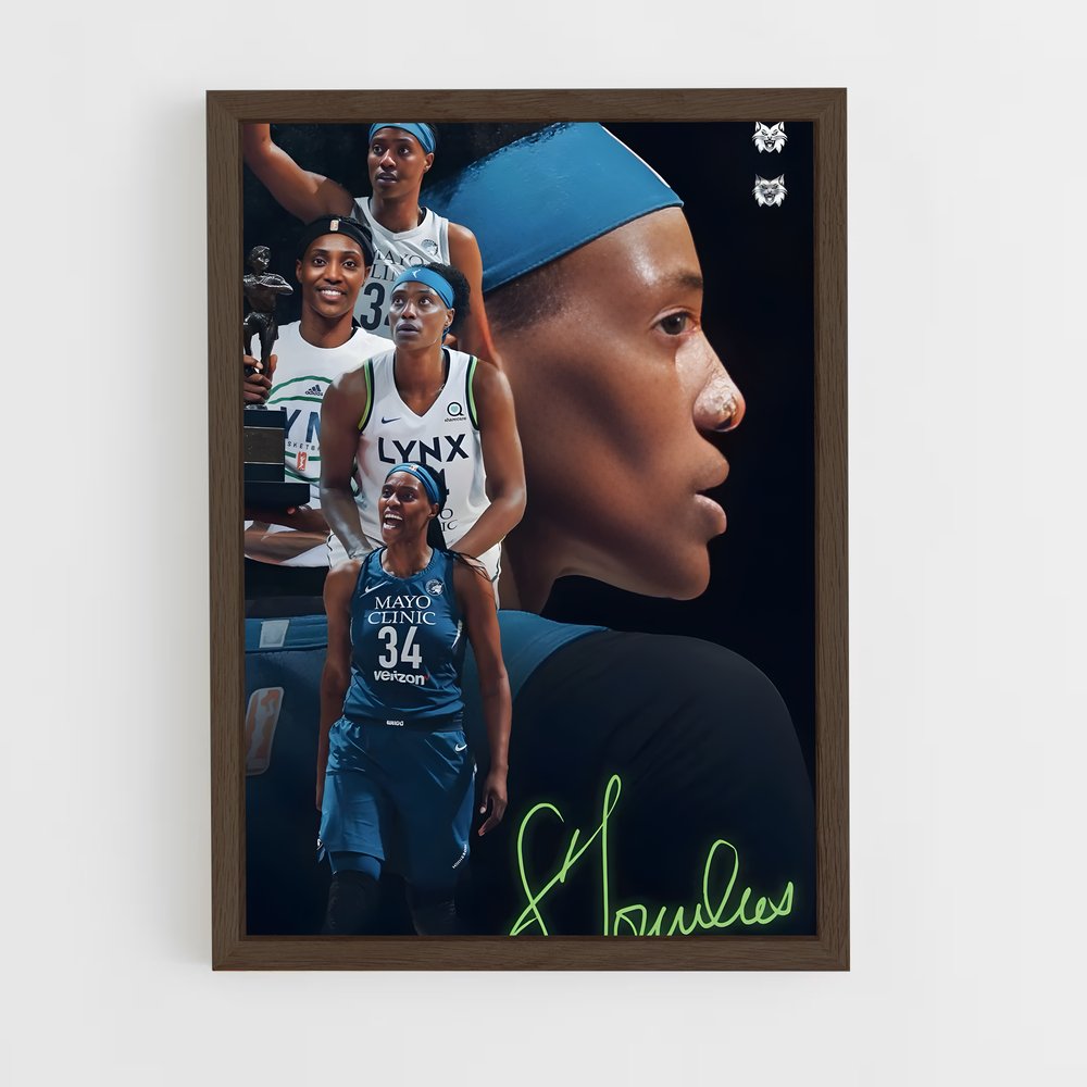 Poster Sylvia de fowles – affiche Basketball (vue 5)